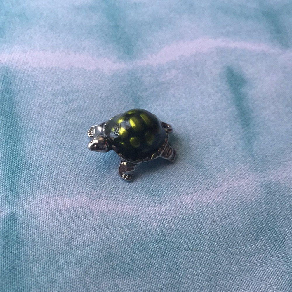 A turtle charm